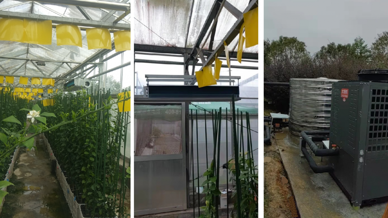 浙江臺州柑橘研究所大棚采暖項目